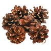 Natural Pine Cone for Christmas Tree Decoration (Pack of 6) | Christmas Ornaments Props | Christmas Decorations Items for Home Office