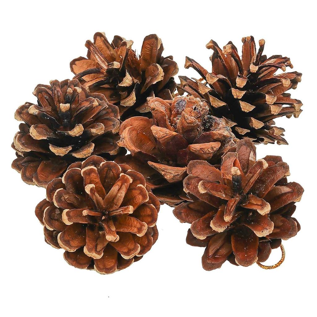 Natural Pine Cone for Christmas Tree Decoration (Pack of 6) | Christmas Ornaments Props | Christmas Decorations Items for Home Office