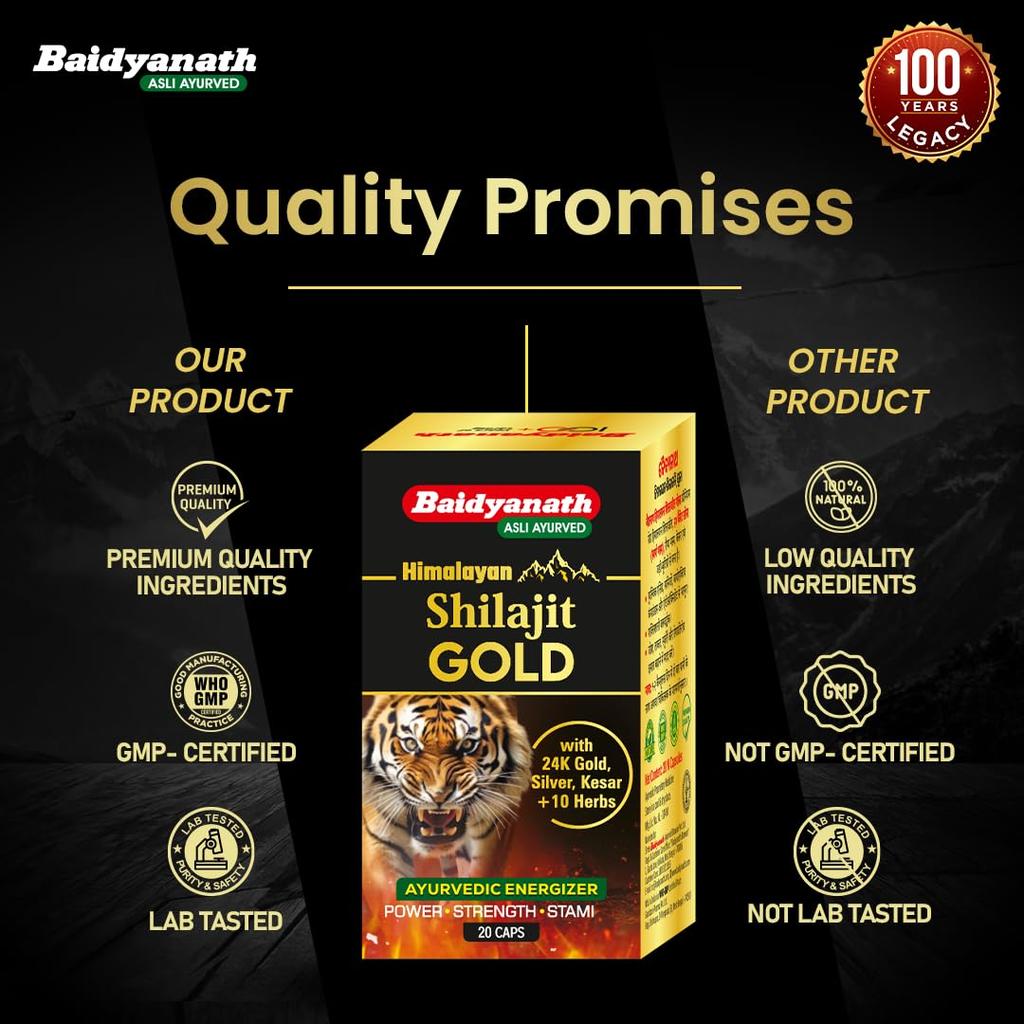 Baidyanath Himalayan Shilajit Gold Ayurvedic 20 Capsules with Gold, Silver & Herbal Extracts for Daily Energy and Vitality