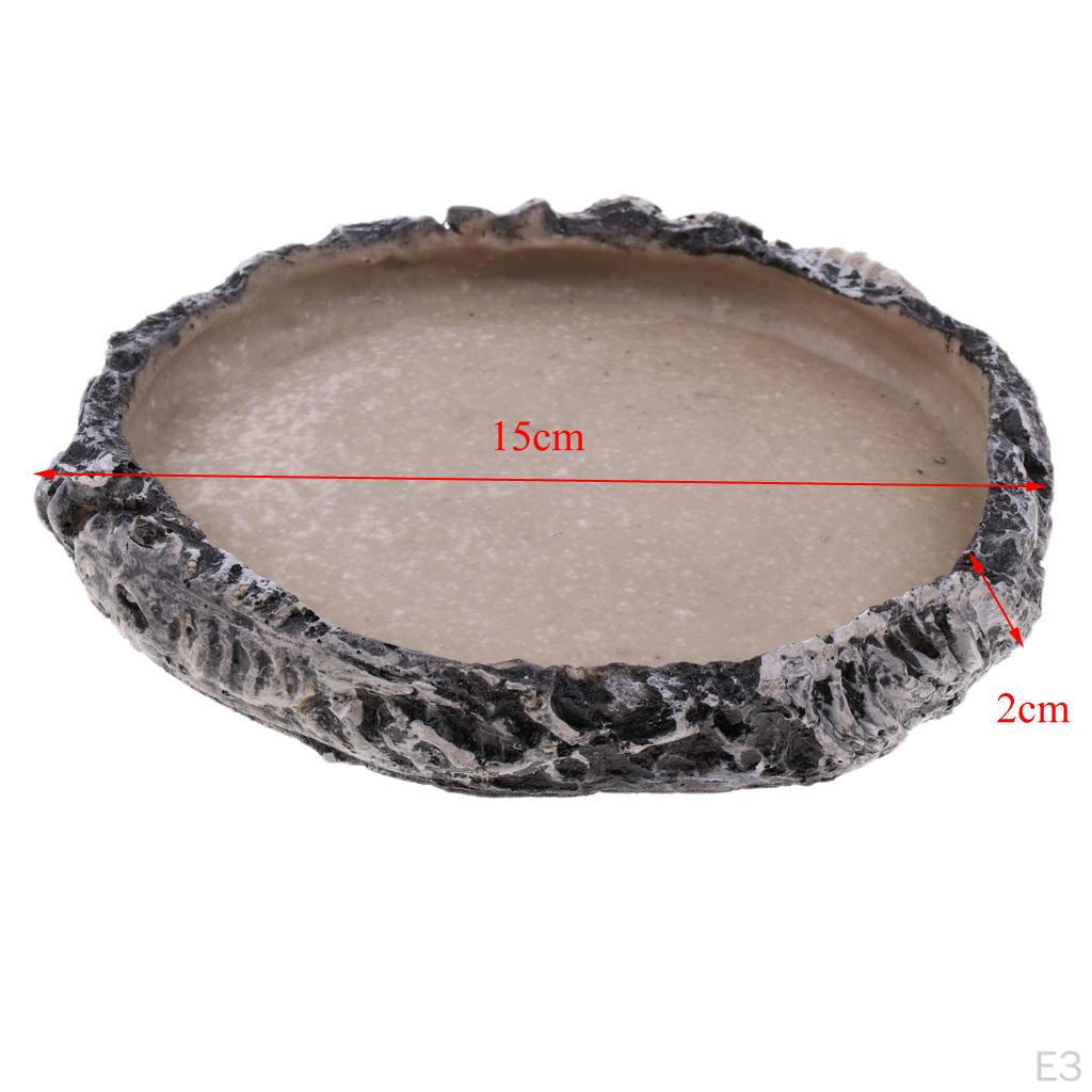 Reptile Vivarium Terrarium Feeding Bowl Tortoise Lizard Gecko Water Food Worm Feeder Basin Shaped