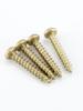 Copper Round Head Self-Tapping Phillips Wood Screw M3-M5 for Furniture Repair