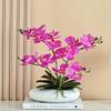 Realistic Phalaenopsis Artificial Flower Centerpiece for Dining Table with Vase