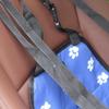Waterproof Pet Car Seat & Hanging Bag Mat