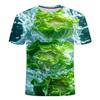Kids 3D Plant Fruit Flower Graphic Round Neck Short Sleeve T Shirt For School Outdoor Holiday Daily Casual Leisure Daily Wear