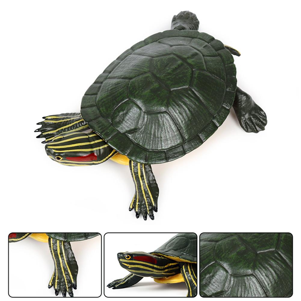 5.5inch Brazilian Red-Eared Slider Turtle Tortoise Animal Toy Action PVC Figure Galapagos Tortoise Giant Tortoise Turtle Figure