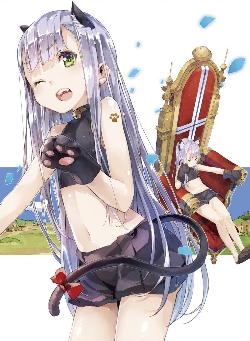 

Outbreak Company 2 edition double costume jacket drawn by (first bonus Yugen) [Blu-ray]