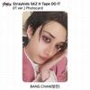 Stray Kids SKZ It Tape DO IT It Ver. Official Photocard