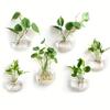 2 pièces Terrarium de Plante Suspendue au Mur Station de Propagation Vases à Fleurs Muraux Terrarium pour Plantes Aériennes Décoration de Maison