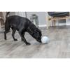 Balle pour chien - Trixie - Lot de 3 - Plastique/TPR - Labyrinthe amovible - Taille unique