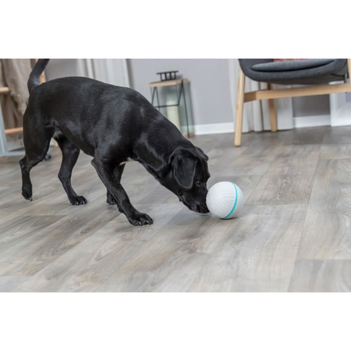 Balle pour chien - Trixie - Lot de 3 - Plastique/TPR - Labyrinthe amovible - Taille unique