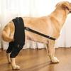 Adjustable Dog Knee Brace Comfortable Dog Leg Support Brace Pet Joint Protectors  Wound Protection