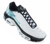 Nike Air Max Plus TN - Mercurial Vapor - Chaussures Baskets Homme Blanc HV6225-100 ORIGINAL