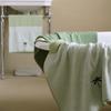 Avocado Green Colorful Long Pile Cotton Cute Velvet Towel for Washing Face and Wiping Hands