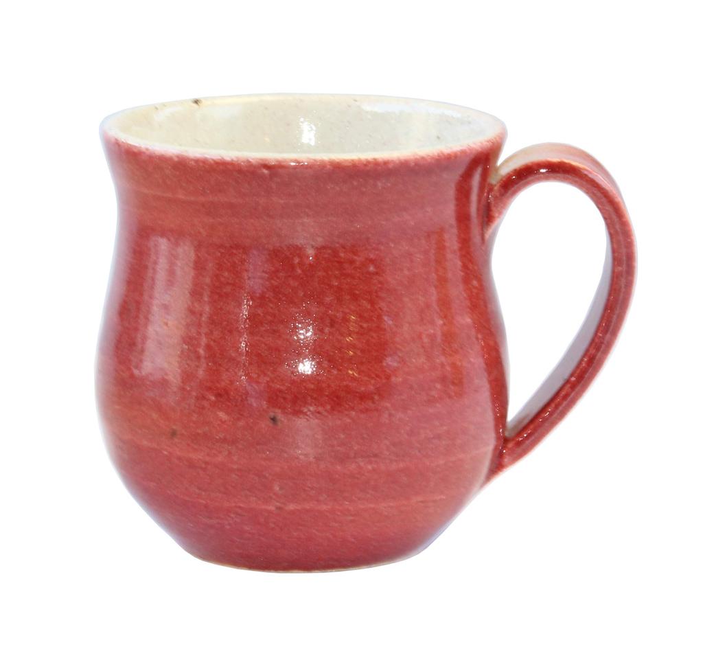 Tomori Saiun Mug "Shigaraki Ware" (red) W304-06