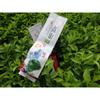 125g Milky Oolong Taiwan Jinxuan High Mountain Tea Natural Fragrance