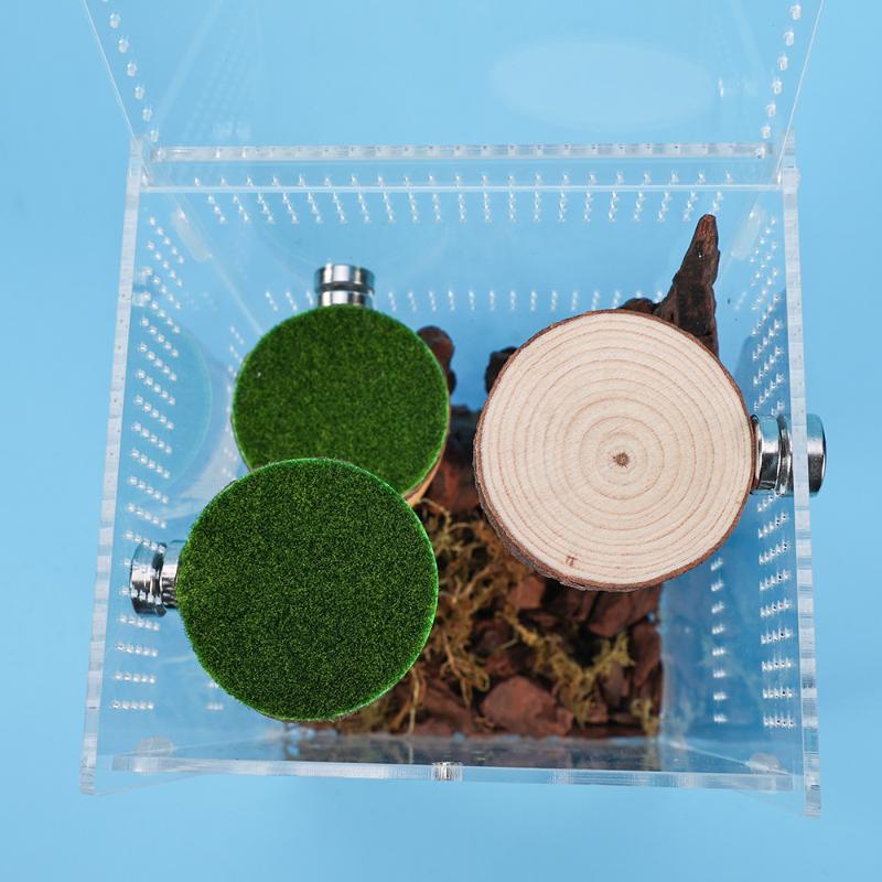 Mini Magnetic Spider Hide Cave Handmade Jumping Spider Enclosure Natural Habitat Decoration for Spider Lovers