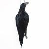 Halloween Decoration Hanging Dead Crow Handmade Extra Large Black Feathered