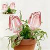 1/4pcs Tulip Plant Watering  Automatic Self-Watering Bulbs Slow Release Dripper for Indoor Outdoor Potted Plants Garden Decor