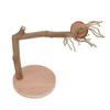 Parrot Standing Stick Safe Natural Detachable Wood Bird Perch Stand with Base for Birds Parrots