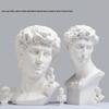 David Head Bust: Plaster Sculpture for Art Students & Teaching Aids
