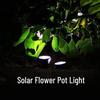 Nufeng Solar Pathway Lights