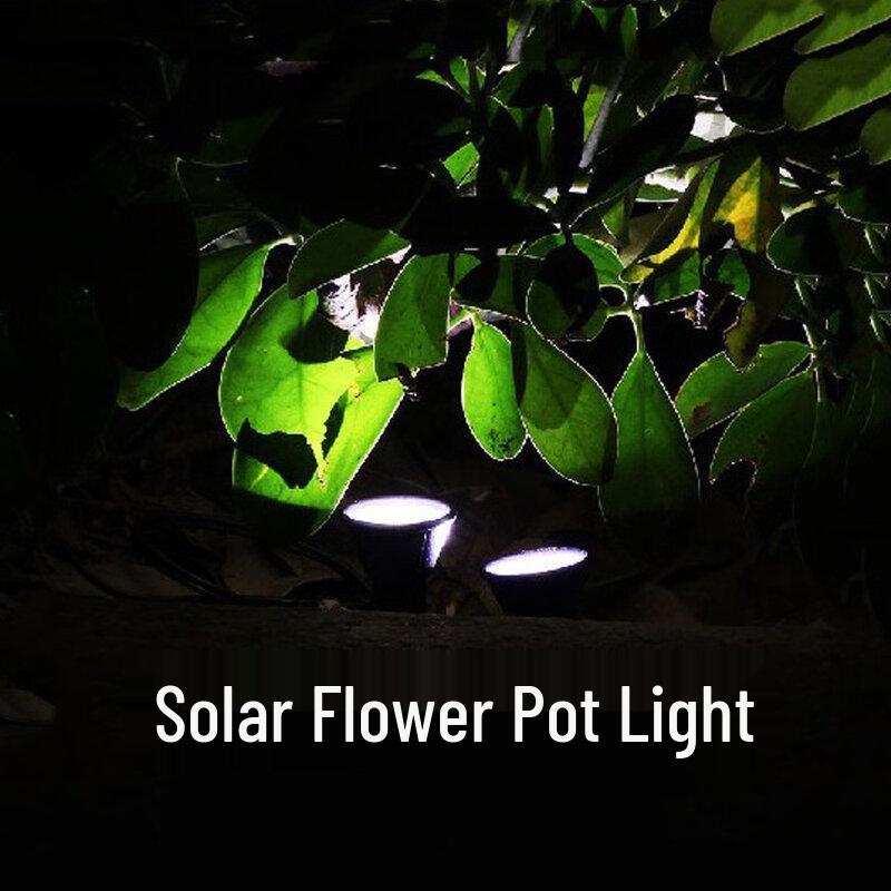 Nufeng Solar Pathway Lights