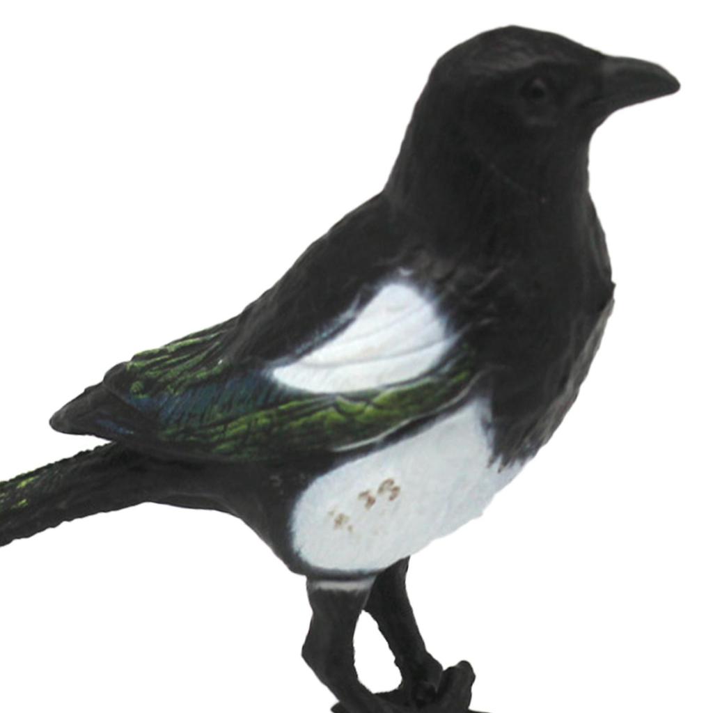 Pájaro de Simulación Urraca Animal Realista Figuras de Pájaros Adorno de Jardín para Fotografía de Jardín Accesorio Césped Micro Paisaje Casa