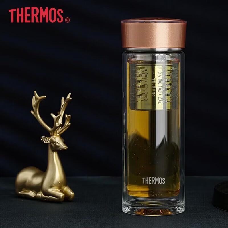 

Thermos Double Wall Glass Tea Infuser Bottle