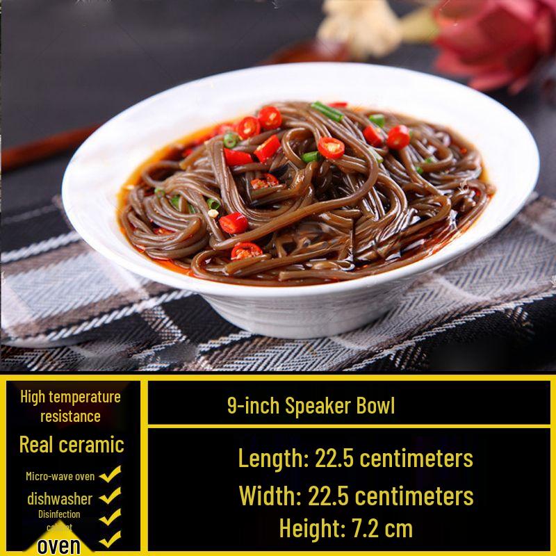 Irregular Ceramic Dinner Plate