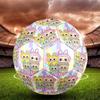 Labubu Print Size 5 Soccer Ball, Standard Match Football for Sports Game and Team Practice, Ideal Gift for Soccer Fans