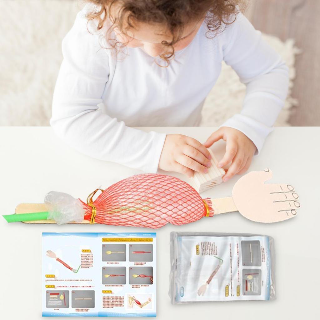 Interactive Science Project Toy Biological Science Model Science Experiment Toy For Projects Kids Learning Early Educational Toy
