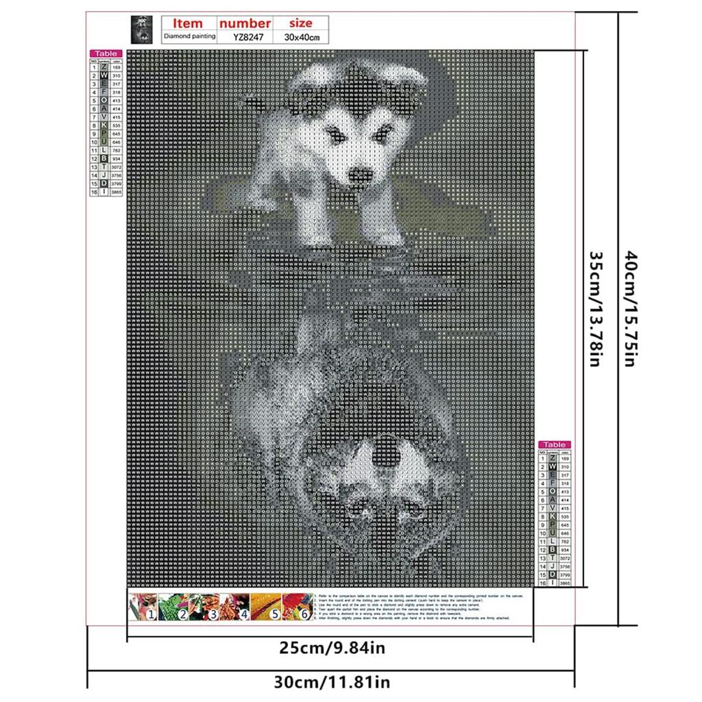 JISHSHAY Set 5D Diamond Art 30x40cm Diamond Art Diamond Art Diamond Art Lion Full Coverage Type Diamond Beads Animal Bead Art Stickers Artwork Bead