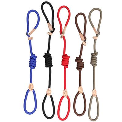 Competition-Grade Anti-Surge P-Chain Dog Leash for Training and Walking - Suitable for Small, Medium, and Large Dogs