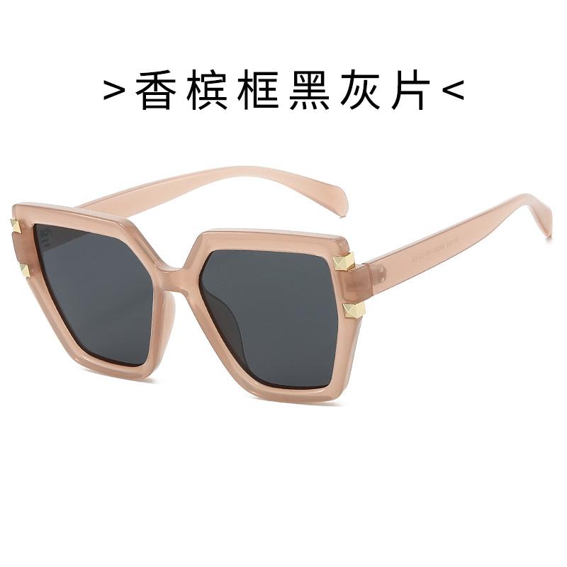 Bao Ge Glasses, Large Frame Polarized Sunglasses, Fashionable Retro Ins Street Shot Rivet Wind Tr90