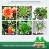 Abdo Universal Plant Nutrient Solution