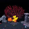 Handicraft Aquarium Coral Reef Ornaments Colorful Aquatic Plants  Gift