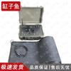Gangaoyu Sports Fitness Assessment System