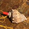 Street Stall Conch Shell Whistles & Toys: Creative Souvenirs