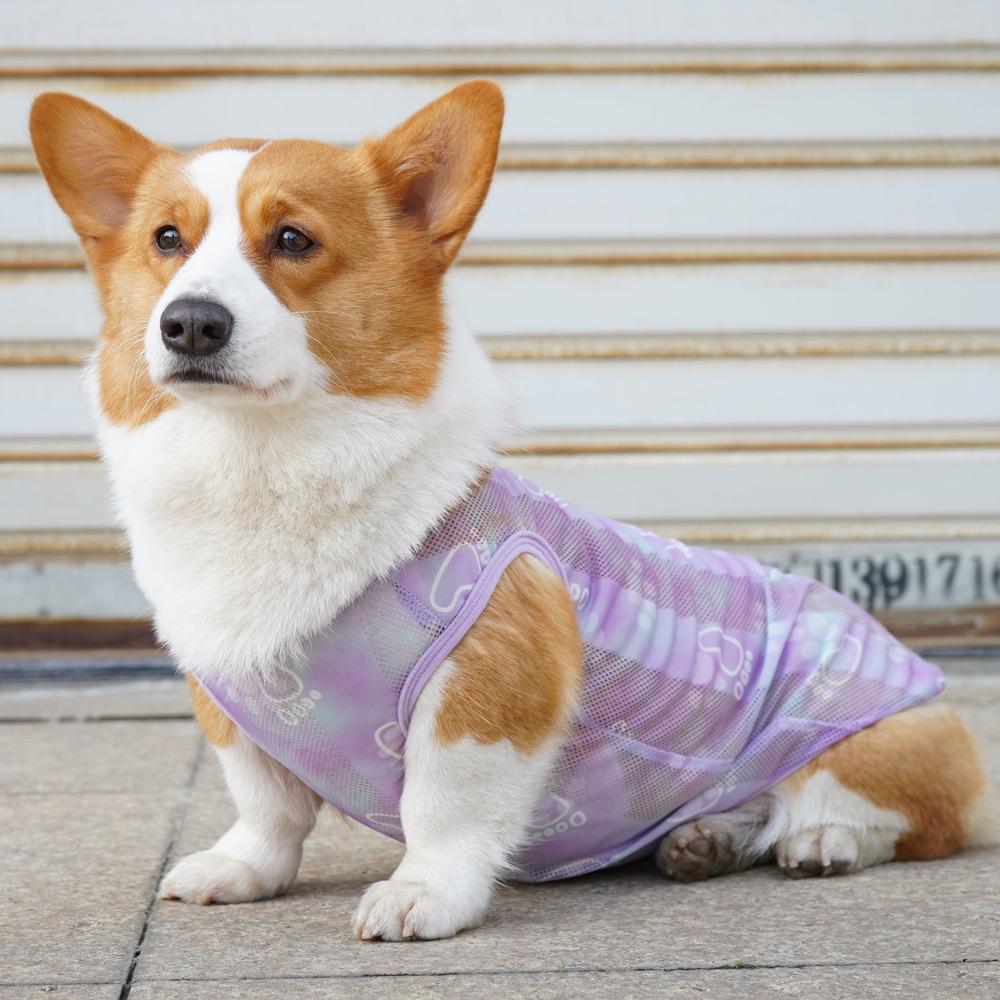 Cat and dog universal clothes thin teddy corgi golden retriever pet vest fashion summer new