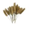 Whisk Rabbit Tail Grass Dried Flower Bouquet - Natural Pampas Grass & Small Reed