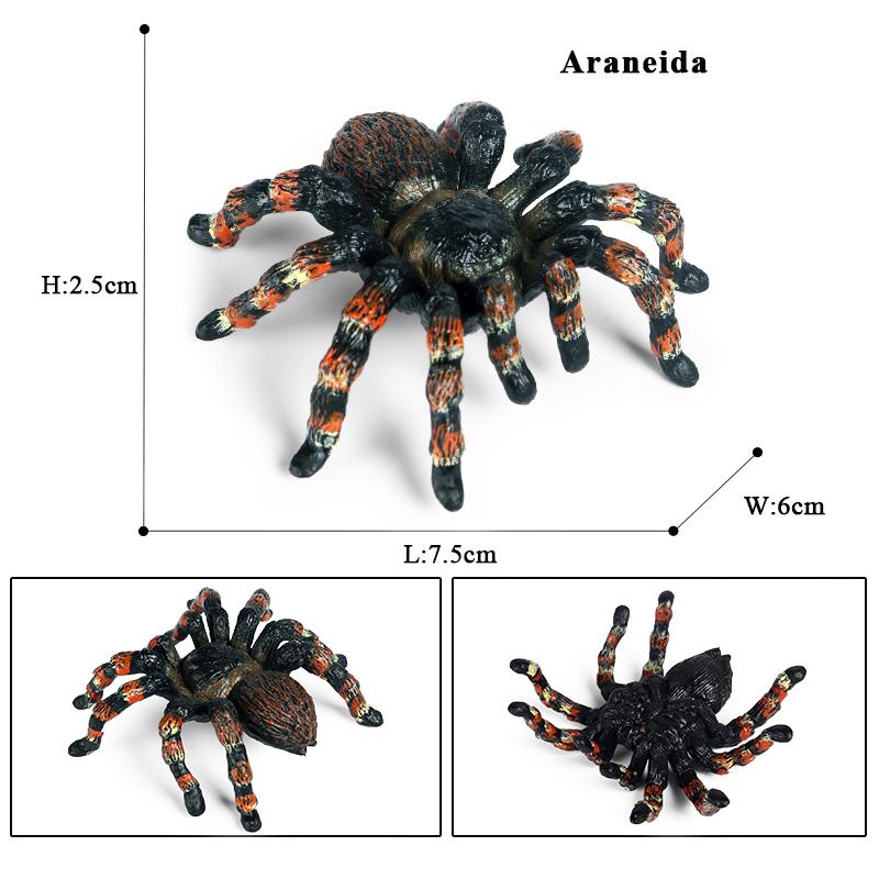 Oenux Simulation Dragonfly Grasshopper Centipede Wild Insect Animals Model Action Figures Miniature Education Collection Kid Toy