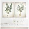 Herb Canvas Art Painting Vintage Herbal Illustrations Posters and Prints Culinary Herbs Botanical Kitchen Wall Art Picture Decor