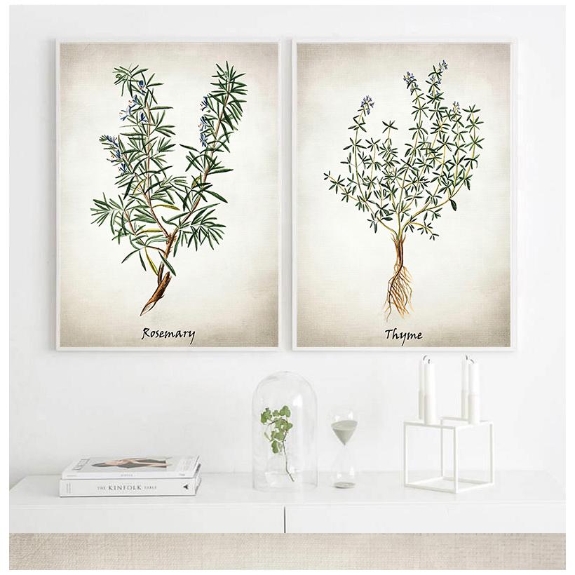 Herb Canvas Art Painting Vintage Herbal Illustrations Posters and Prints Culinary Herbs Botanical Kitchen Wall Art Picture Decor