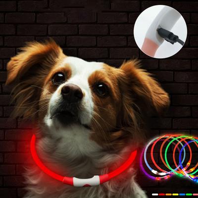 Collare per Cani a LED Luminoso USB Collare per Gatti Cani 3 Modalità Luce LED Incandescente Prevenzione Perdita Collare LED per Cani Accessori per Cani Domestici
