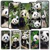Fubao Panda Phone Case For Samsung Galaxy S25 S24 S23 FE S22 Ultra S20 S21 5G S10 Plus S10E Soft Black Cover