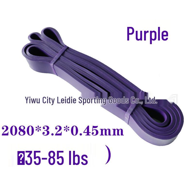 WEZHO Fitness Resistance Band