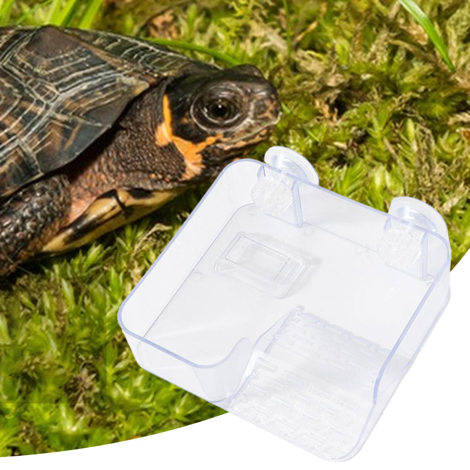 

Turtle Basking Suction Cup Clear Ramp Ramp Dock Adjustable Height For Tank Aquarium Habitat Reptile Pet Care Aquatic Terrarium China Mainland