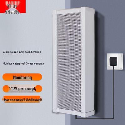 Diyou Active Audio Column CN Plug (adapter Included)