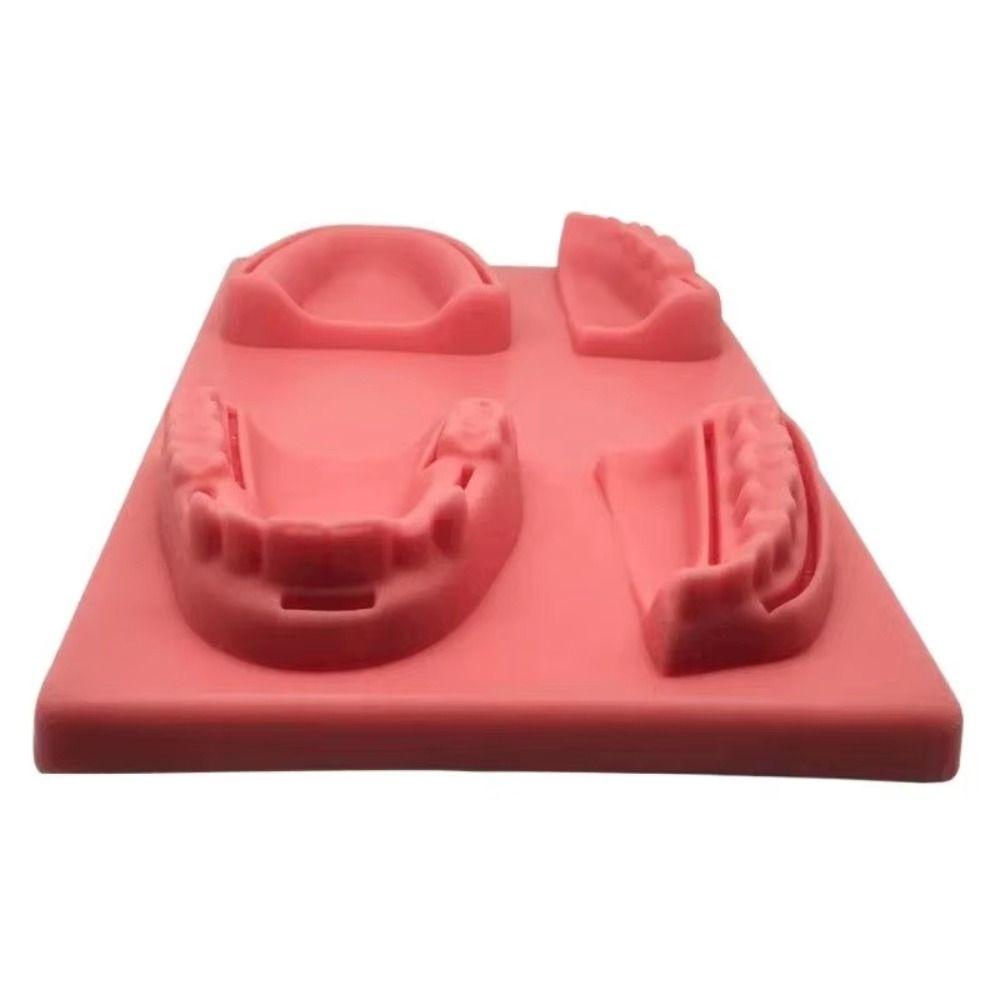 Silikon Zahnlehrmodell 4 Wundtypen Gingivale Naht Trainingsmodell Für Zahnarztunterricht