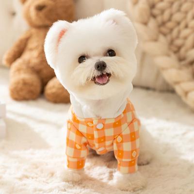 Dog Clothes Autumn and Winter Thin Velvet Warm Two-legged Hooded Traction Sweater Small and Medium-sized Dog Cat Pet Clothing